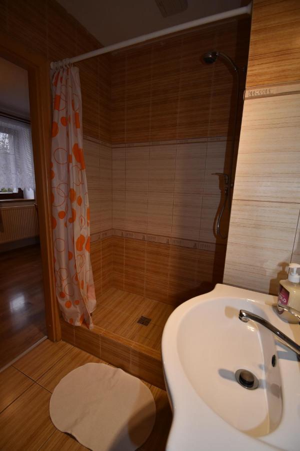 Apartmany Snezenka Destne v Orlickych horach Dış mekan fotoğraf